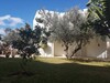Villa olive trees in Barraket El Sahel