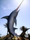 Three small houses located at the famous roundabout swordfish of Mahdia.
