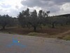Terrain Sameh Hammamet