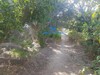 Terrain Faycal ceinture Hammamet