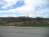 5 hectares on the road to bouficha zitoune