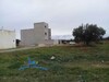 terrain Sarra Zone Sidi Hammed Hammamet