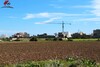un terrain extraordinaire à mansoura kélibia