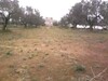 Lotissement viabilisé 650 m Hammamet Nord AV