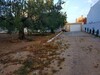 Field florence in Hammamet