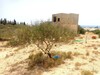 lot de 467m à hammamet vu mer
