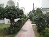 Appartement LYNE Yasminee Hammamet