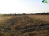 terrain 350 m à kélibia