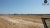 terrain de 1000m hamammet sud