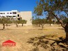 lot de terrain entre mrezga et hammamet