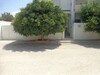 Un appartement avec jardin à hammamet sud M