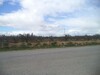 not to miss 4 hectares of olive trees on the road to bouficha