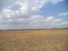 hectare +7000 à dwikhla hammamet sud