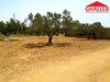 lot de 375m sur la route proche Hammamet