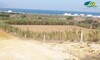 profitez terrain de 3000 m² à el haouaria