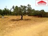 A vendre lot de terrain proche yasmine hammamet