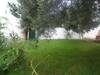 Appartement NOOR Bareket esahel