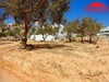 terrain entre mrezga et hammamet