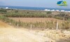 terrain de 3000 m² à haouaria forsaaa