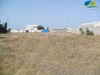 two field in kelibia