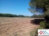 Terrain agri 1hect +8000m²