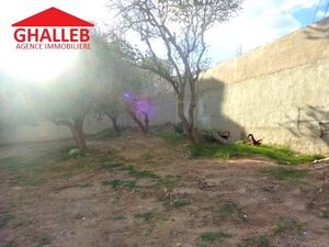 lot de 225m sur la route à hammamet