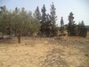 lots to price shock 18MD in hammamet