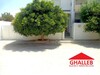 app s+3 avec jardin à manaret hammamet