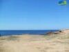 forrrrsaaaaaaaaaaaa hectare 3al bhar