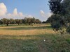 Terrain Hermes A av à l entree sidi hammed