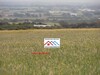 Agricultural land of 1hect and 3810 t blue