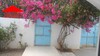 maison bougaivillier de 300m² à Hammamet