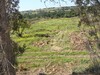 A vendre terrain sur la route de tunis