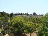 For sale agricultural land in Bouhammed nabeul in a very good location and at a bargain price