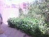 furnished house to close to the sea for rent