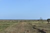 Des lots proche de la plage a sidi mtir 3 KM de yasmin Hammamet