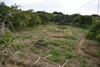 Av un terrain de 900 m² planté d'arbres variés a Hammamet
