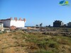 offre de terrain à ain grenz kélibia