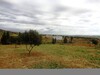 lottisement de terrain av a Hammamet seif