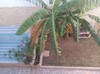 av a Hammamet bel villa saaiif