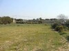 farmland for sale in nabeul