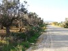 Terrain Agricole Beni wael à vendre