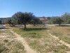 a v un lot de terrain à la compagne de Hammamet nord r