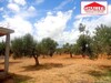 A vendre bonne d’un lot de terrain à Barraket Sahel da
