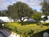 Une villa à 650 MDT dans les vergers de Hammamet