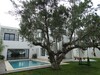 Villa reference LOTUS: lotus pool villa