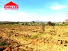 A vendre lot de terrain pres de hammamet 153
