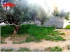 plot of land for sale at birbouragba 10 minutes from hammamet 1603