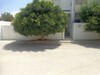 AV appartement avec jardin a mnaret hammamet G