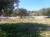A v un lot de terrain à la compagne de Hammamet nord 283